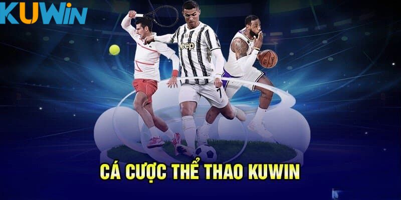 Giới thiệu sảnh thể thao Kuwin được nhiều người quan tâm